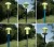 Pole Mushroom